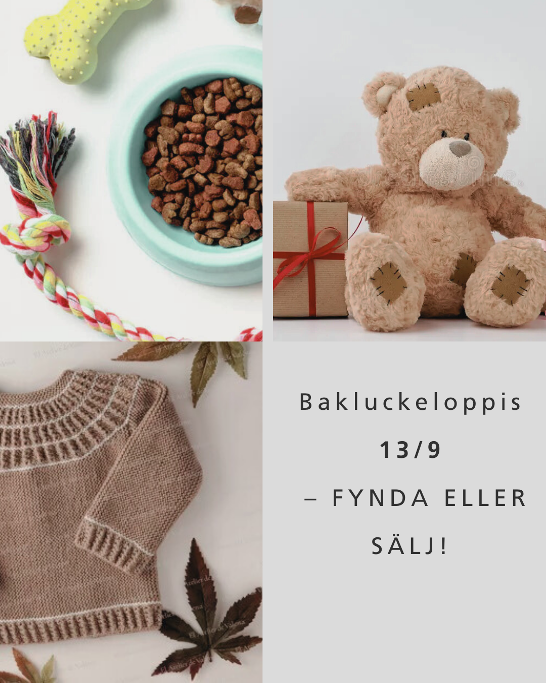 bakluckeloppis